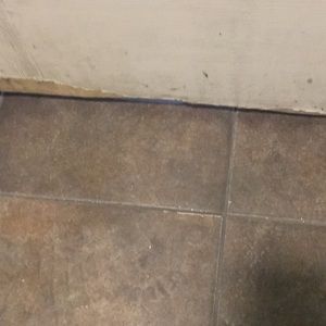 Meet your Posher, Cesar